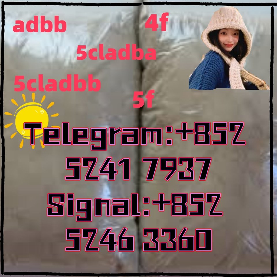 iterq313q