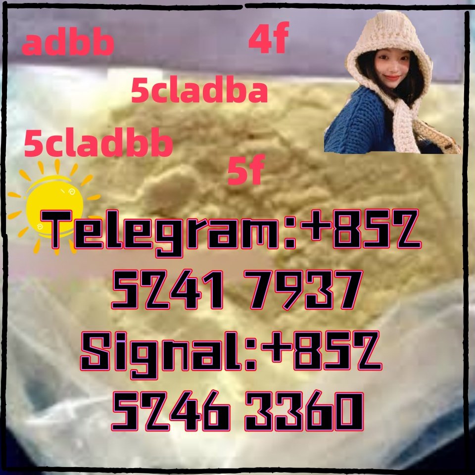 iterq313q