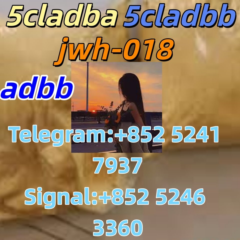 iterq313q