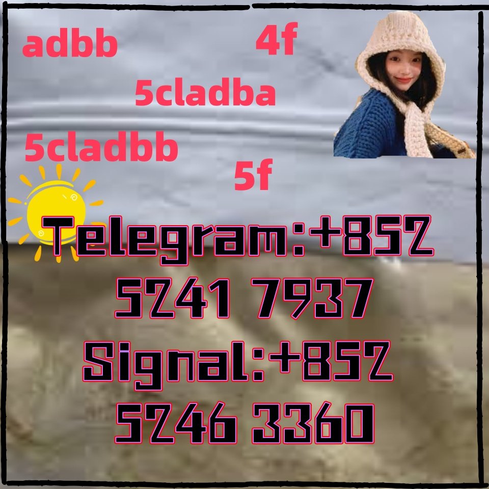 iterq313q