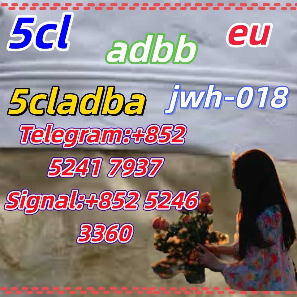 iterq313q