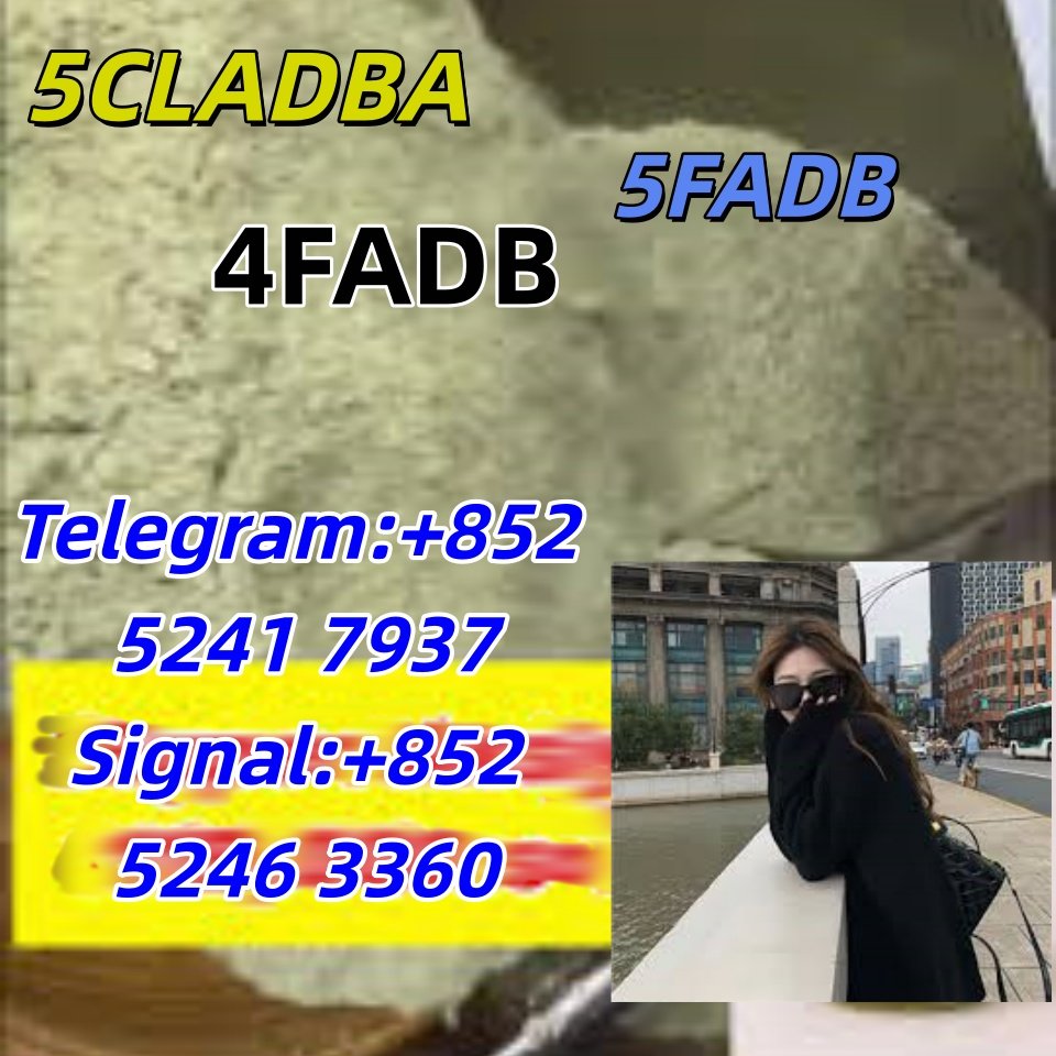 iterq313q