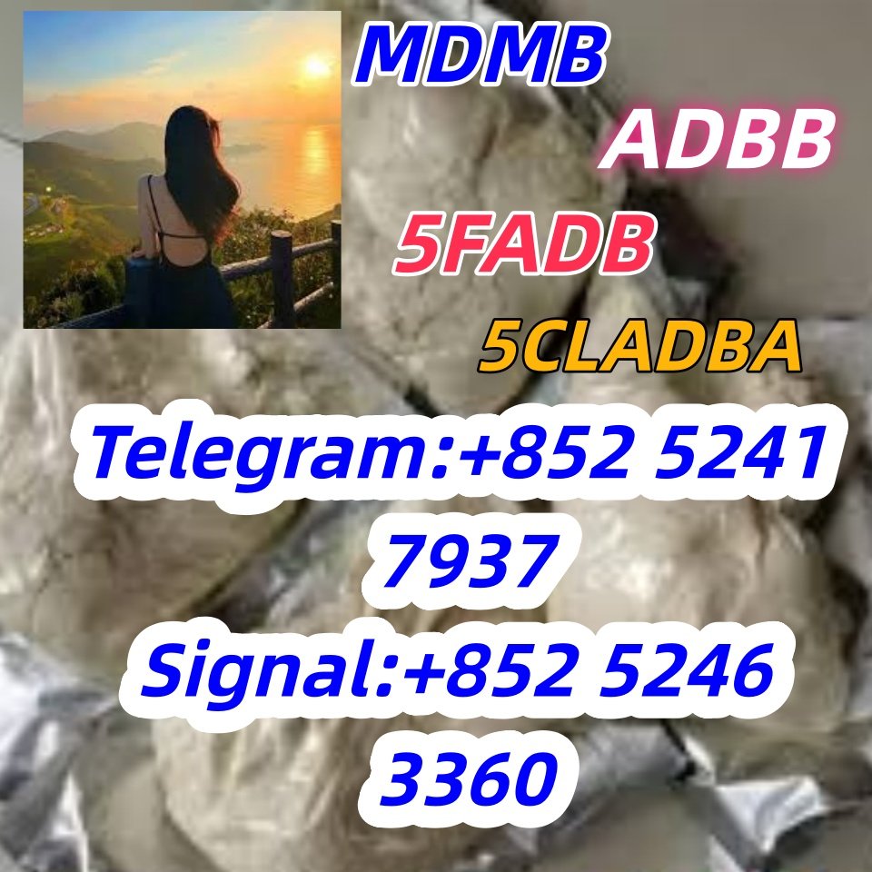iterq313q
