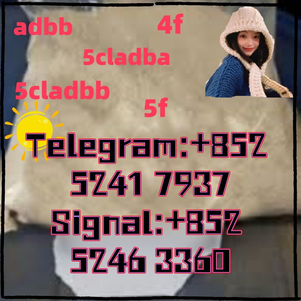 iterq313q