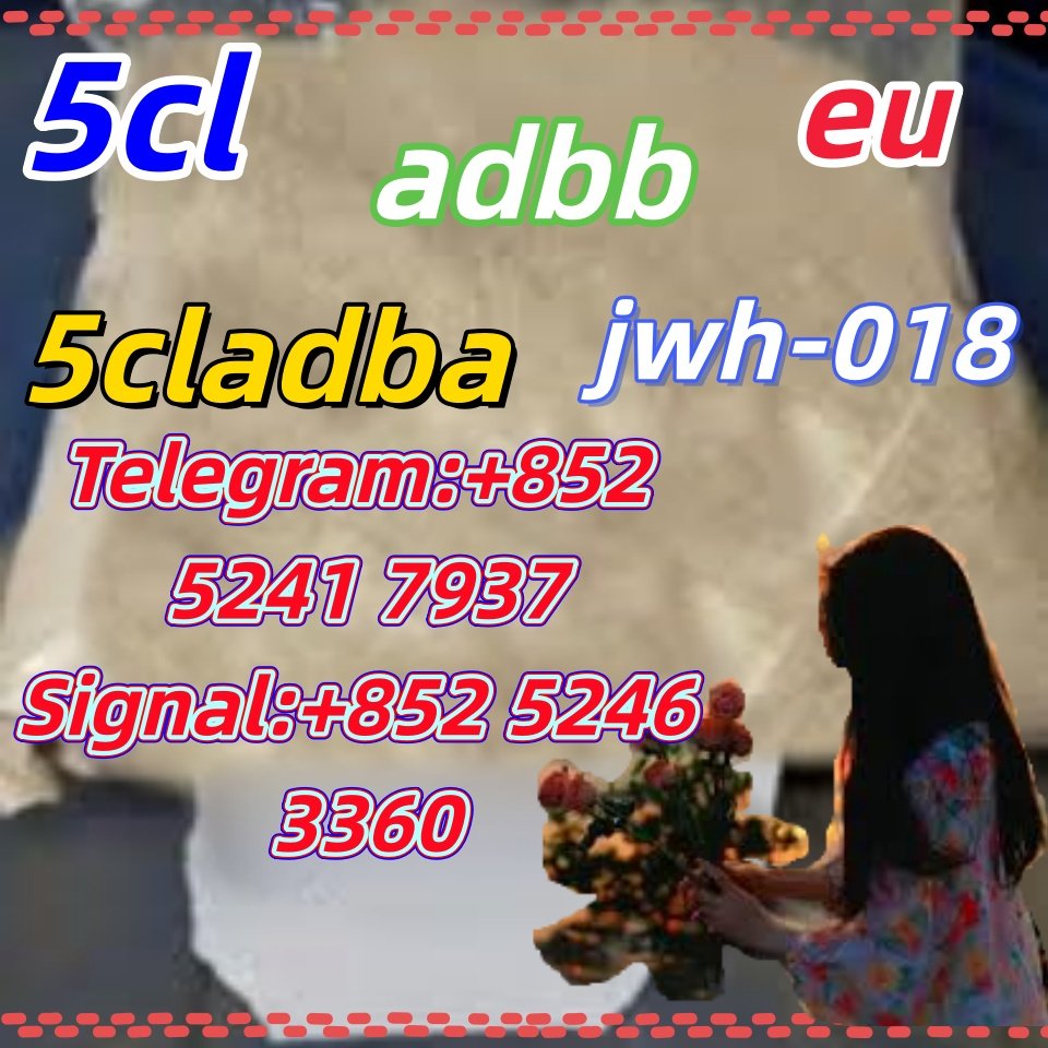 iterq313q
