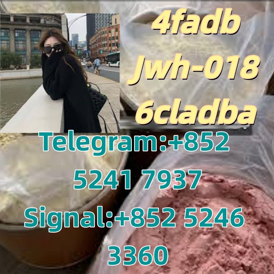 iterq313q