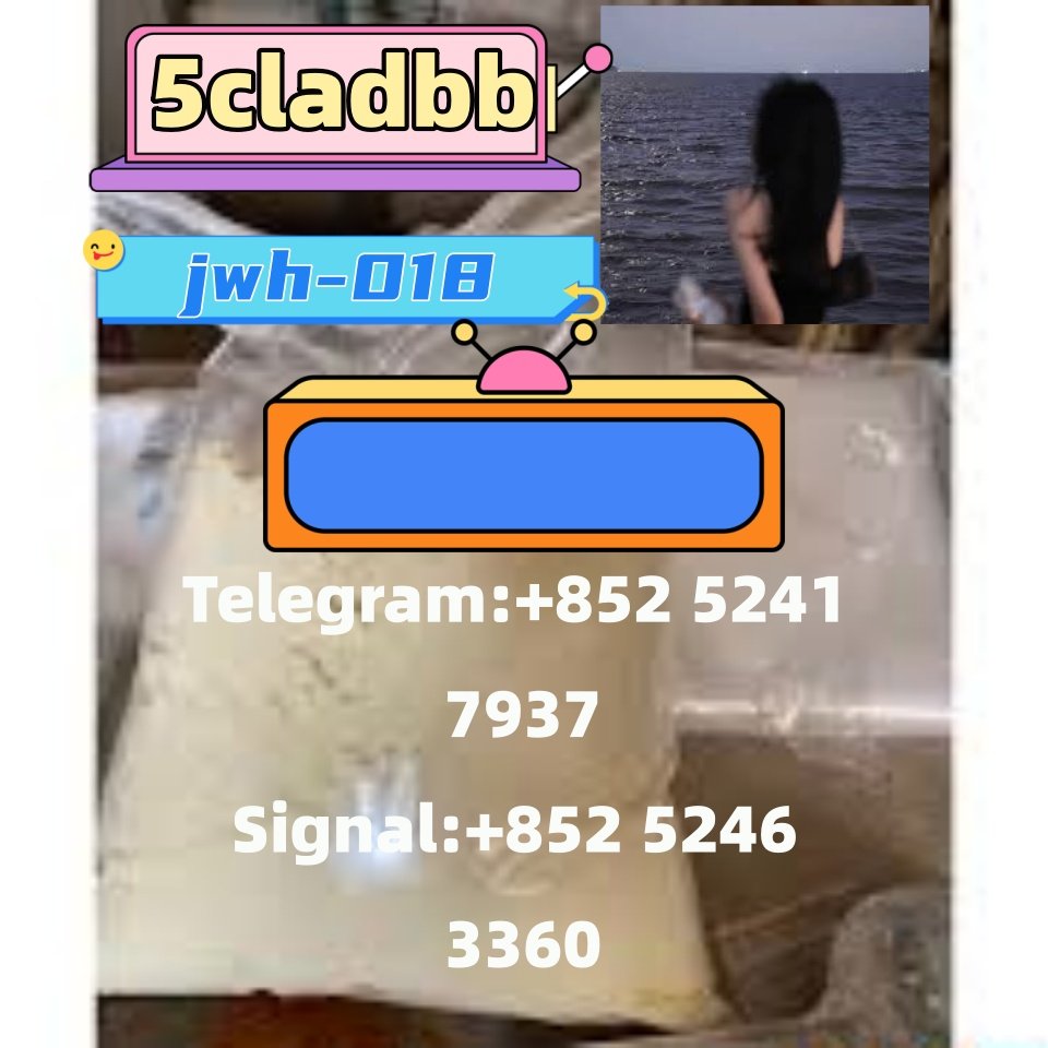 iterq313q