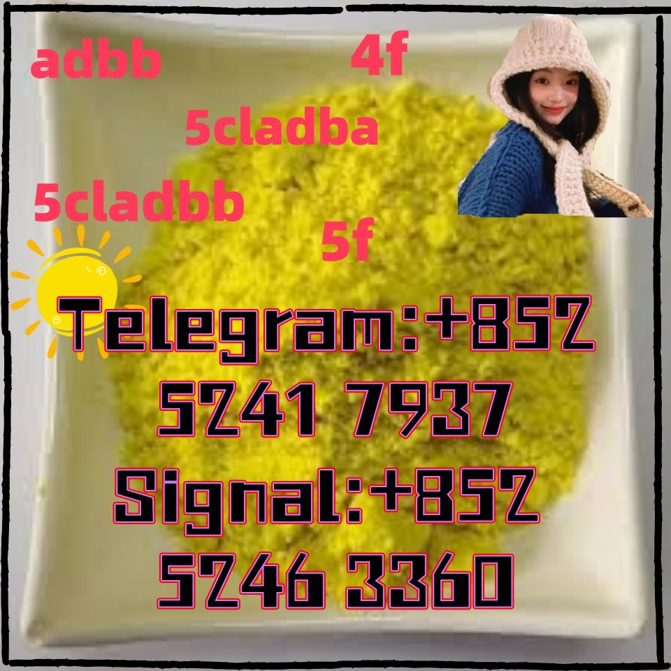 iterq313q