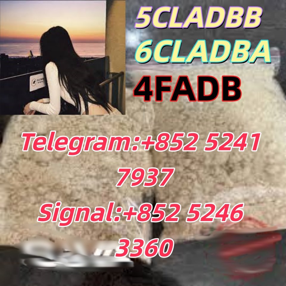 iterq313q