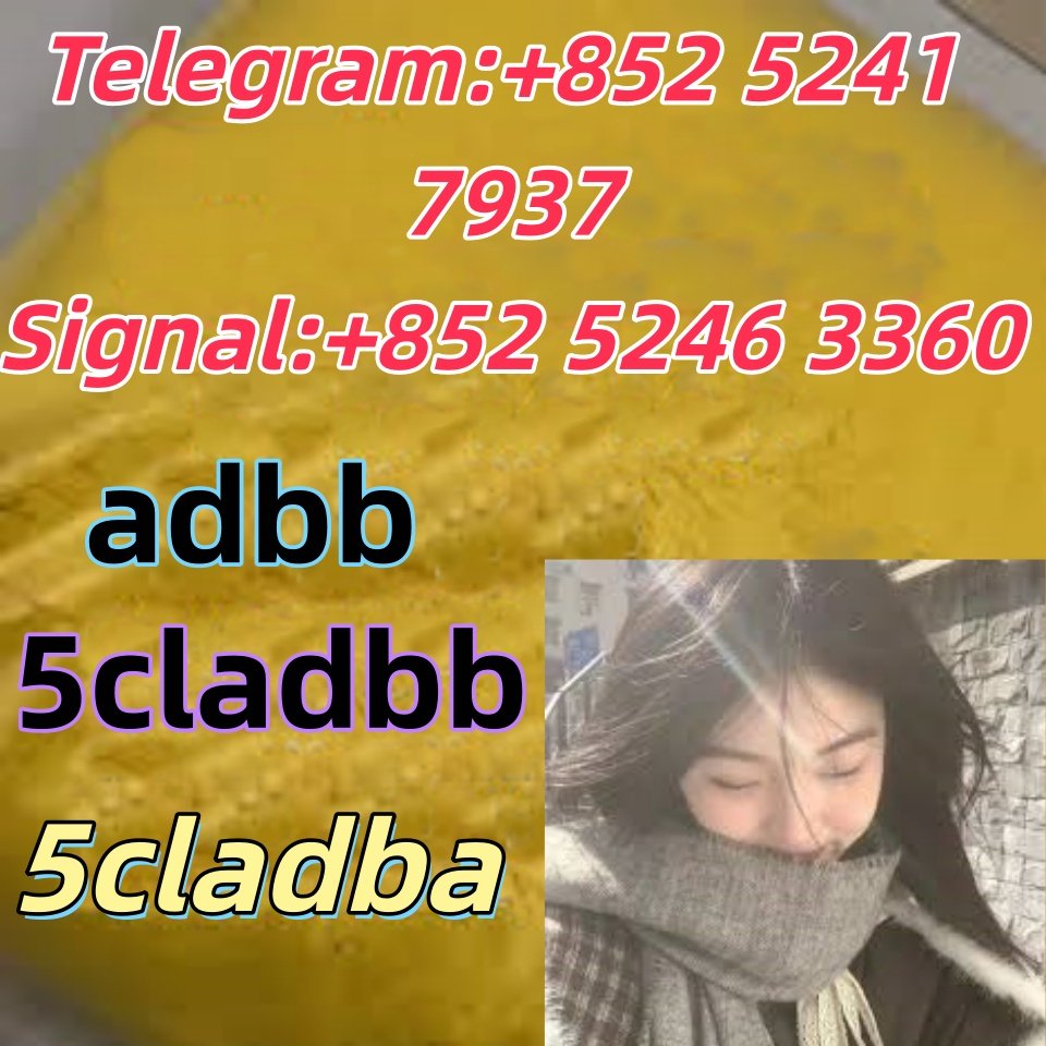 iterq313q