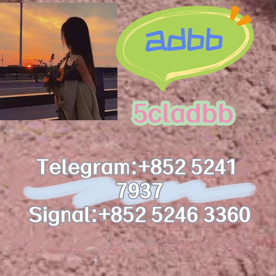 iterq313q
