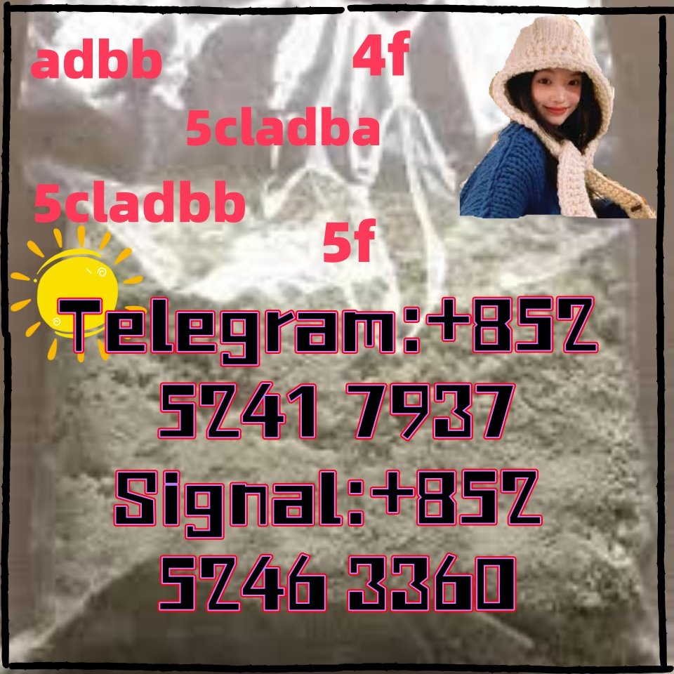 iterq313q