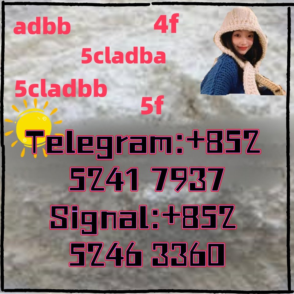 iterq313q