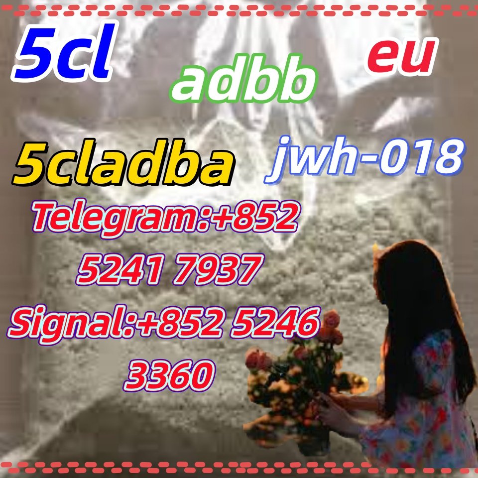 iterq313q