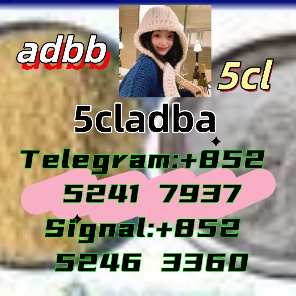 iterq313q