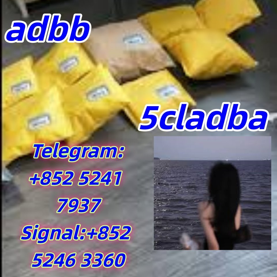 iterq313q