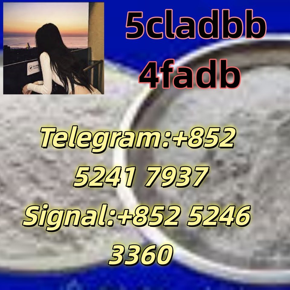 iterq313q