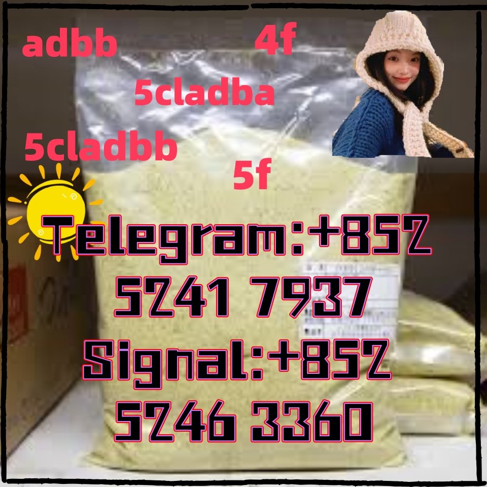 iterq313q