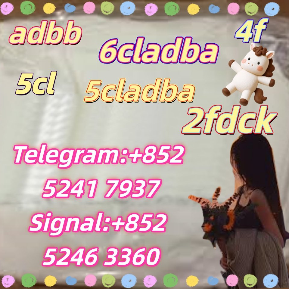 iterq313q