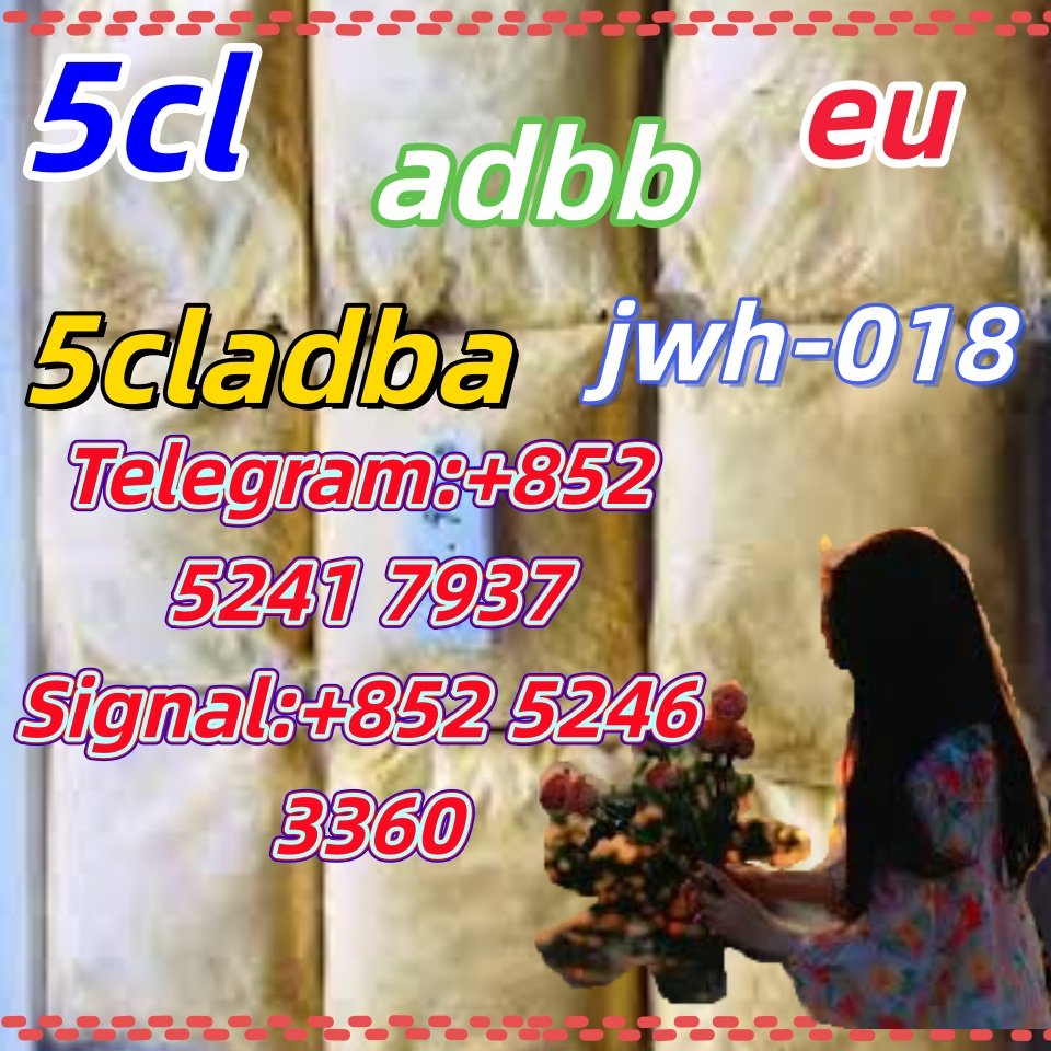 iterq313q