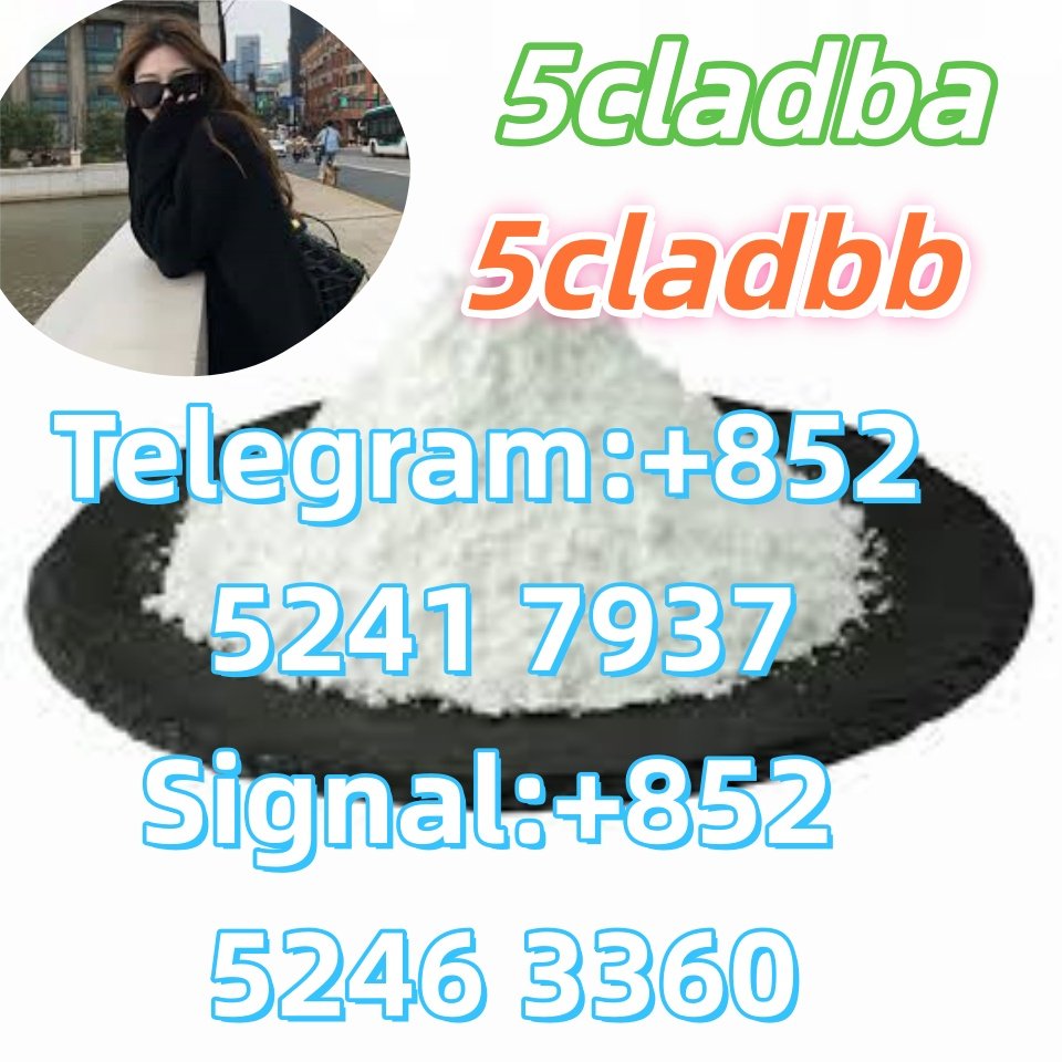 iterq313q