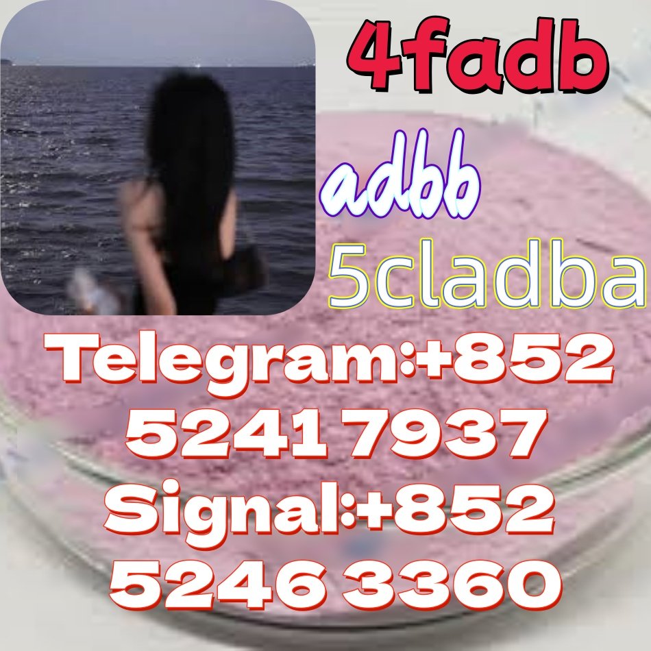 iterq313q