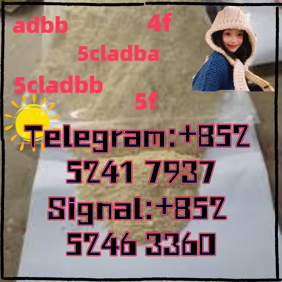 iterq313q