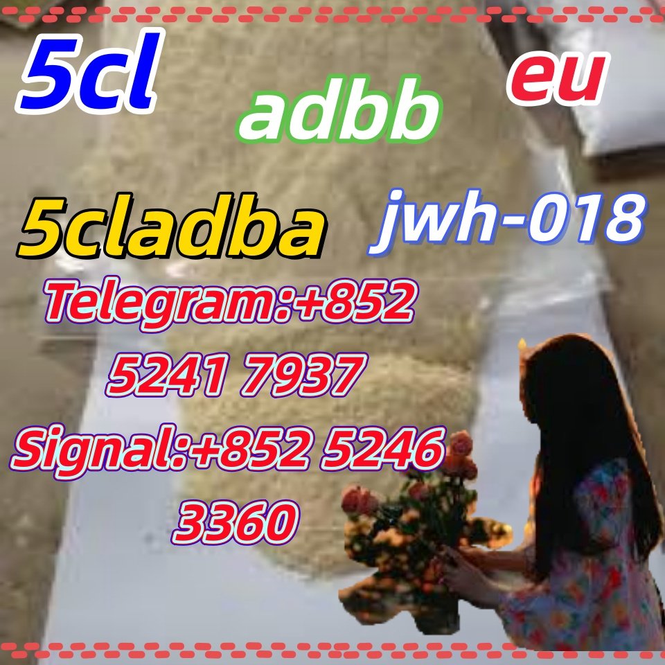 iterq313q