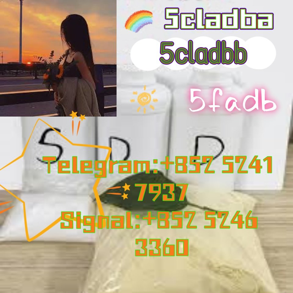 iterq313q