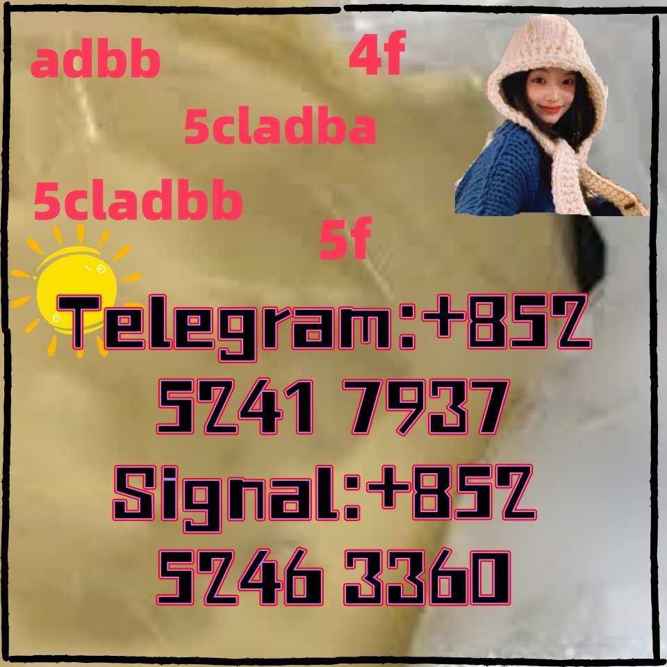 iterq313q