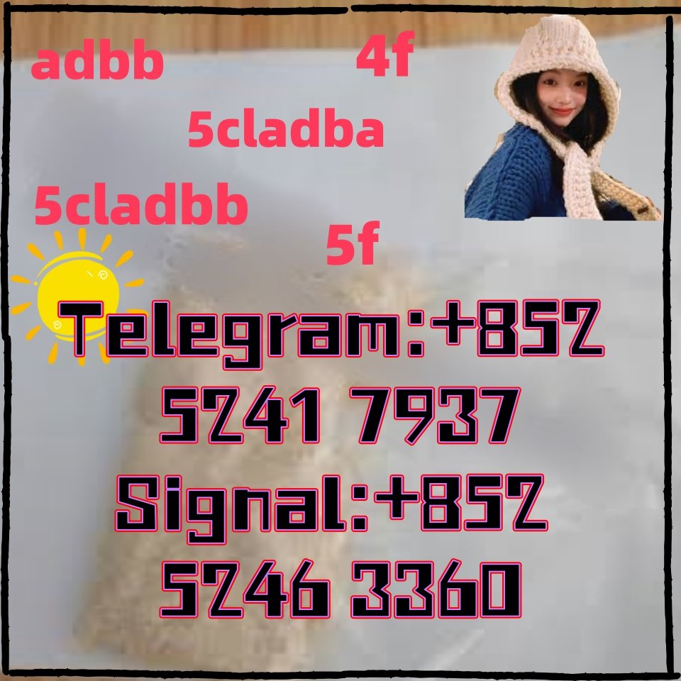 iterq313q