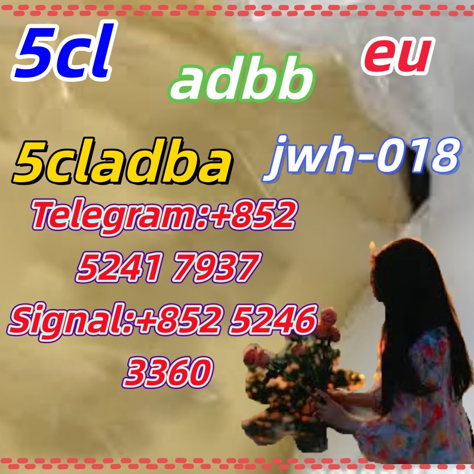 iterq313q