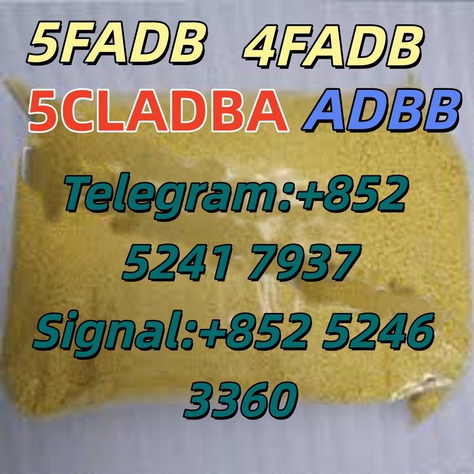 iterq313q