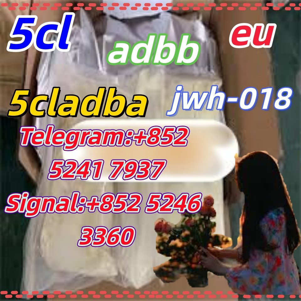 iterq313q