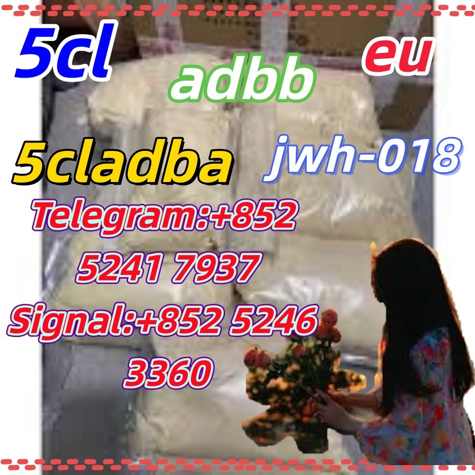 iterq313q