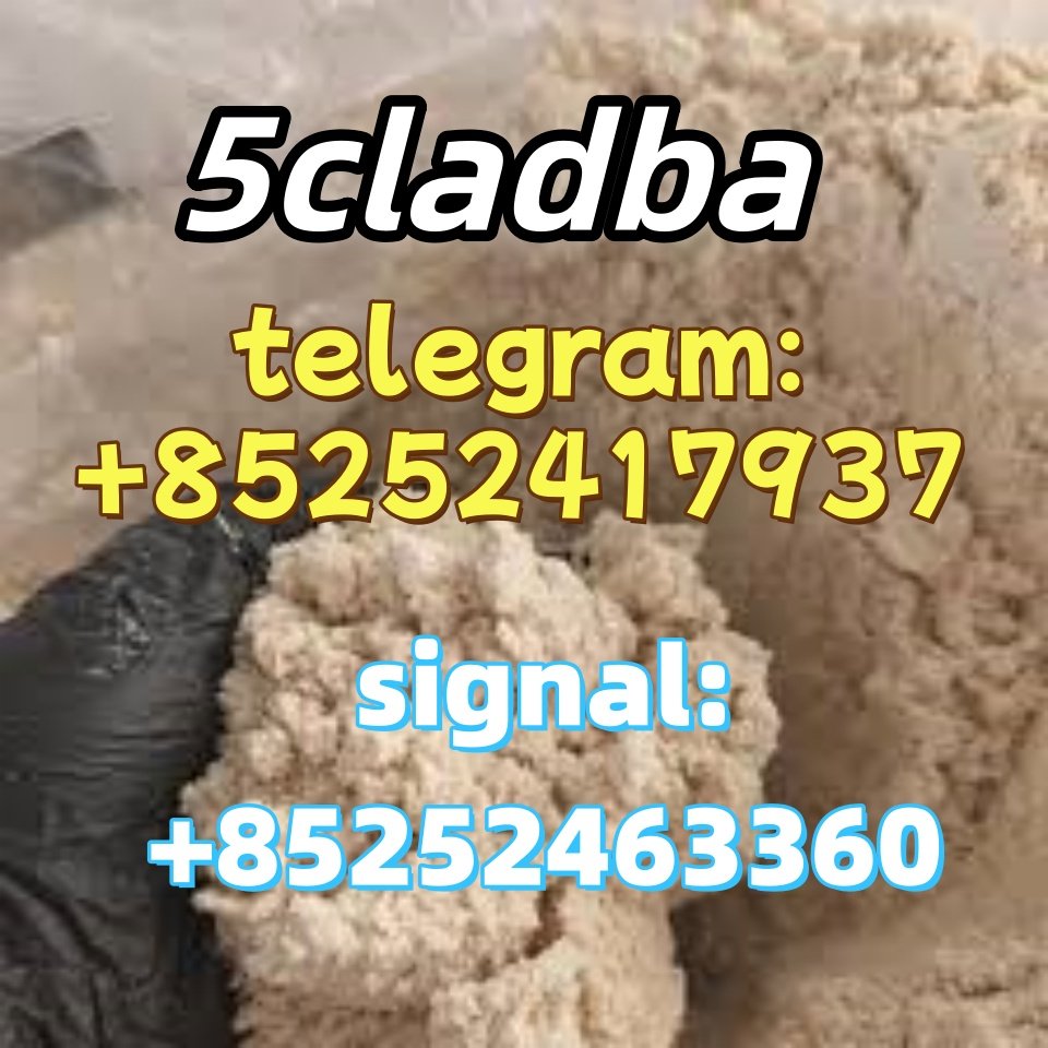 iterq313q