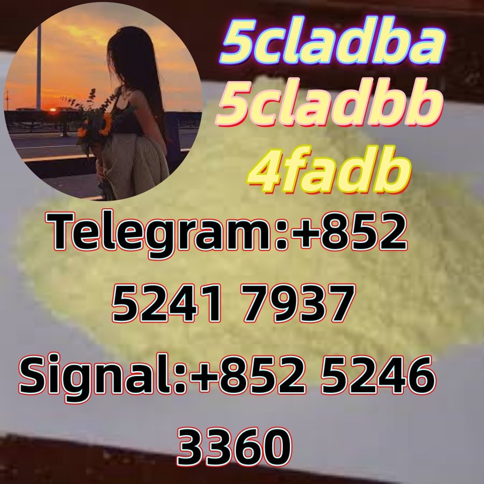 iterq313q