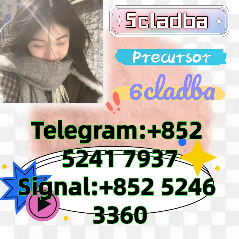 iterq313q