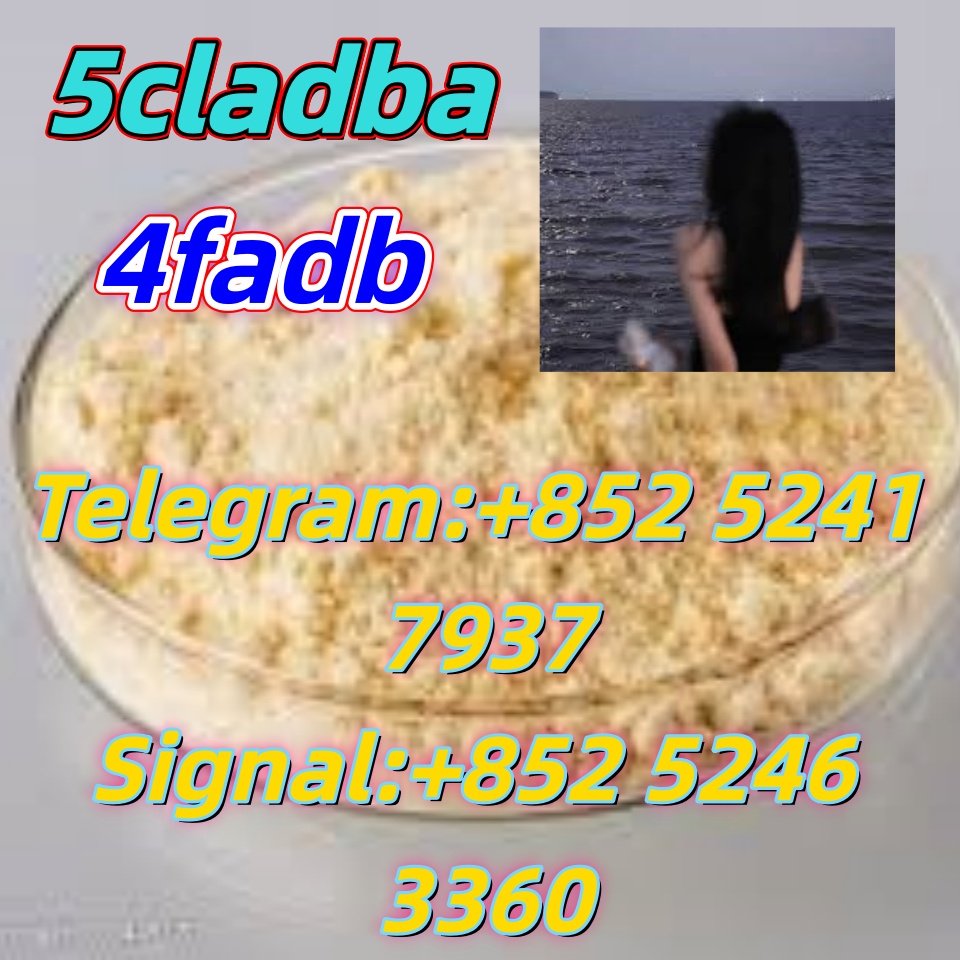 iterq313q